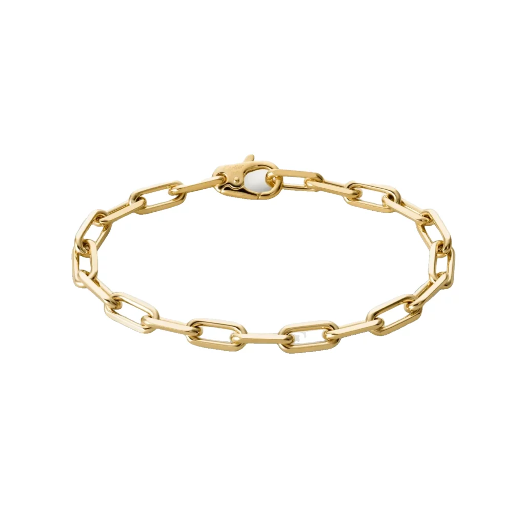 Bracelet Santos de Cartier, chaîne, moyen modèle