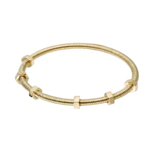 Écrou de Cartier